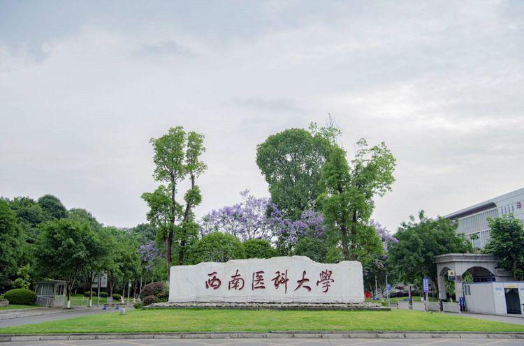 西南醫(yī)科大學科技樓空氣檢測1.jpg